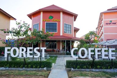 Forest Coffee & Bistro